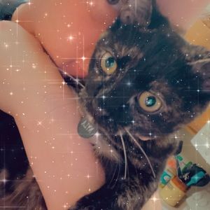 Meet your Posher, Amber